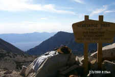 p0005223.jpg (64723 bytes)