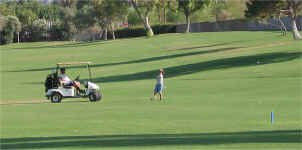 aaronhit.jpg (293018 bytes)