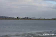 p0005514.jpg (52167 bytes)